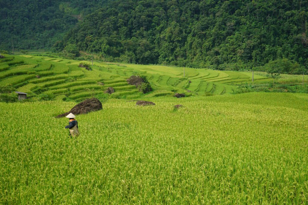 Pu Luong in September - private Vietnam tour