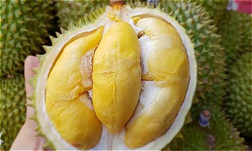 Vietnamese Fruit - Durian 