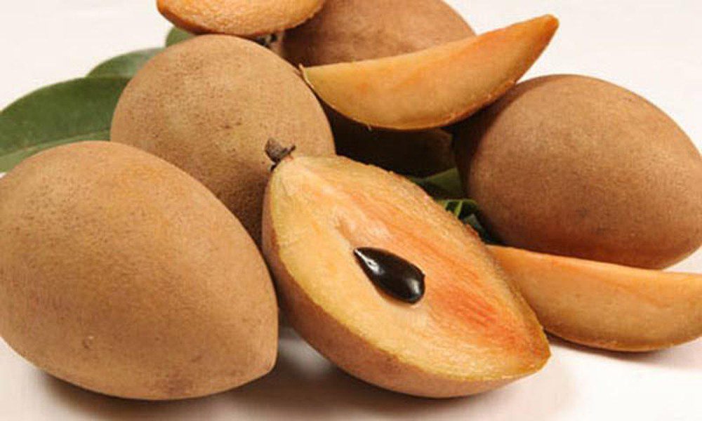 Vietnam Sapodilla fresh fruit 