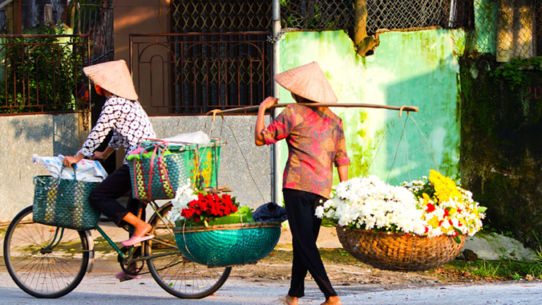 Read more about the article What should Travelers do and not do while traveling along Vietnam