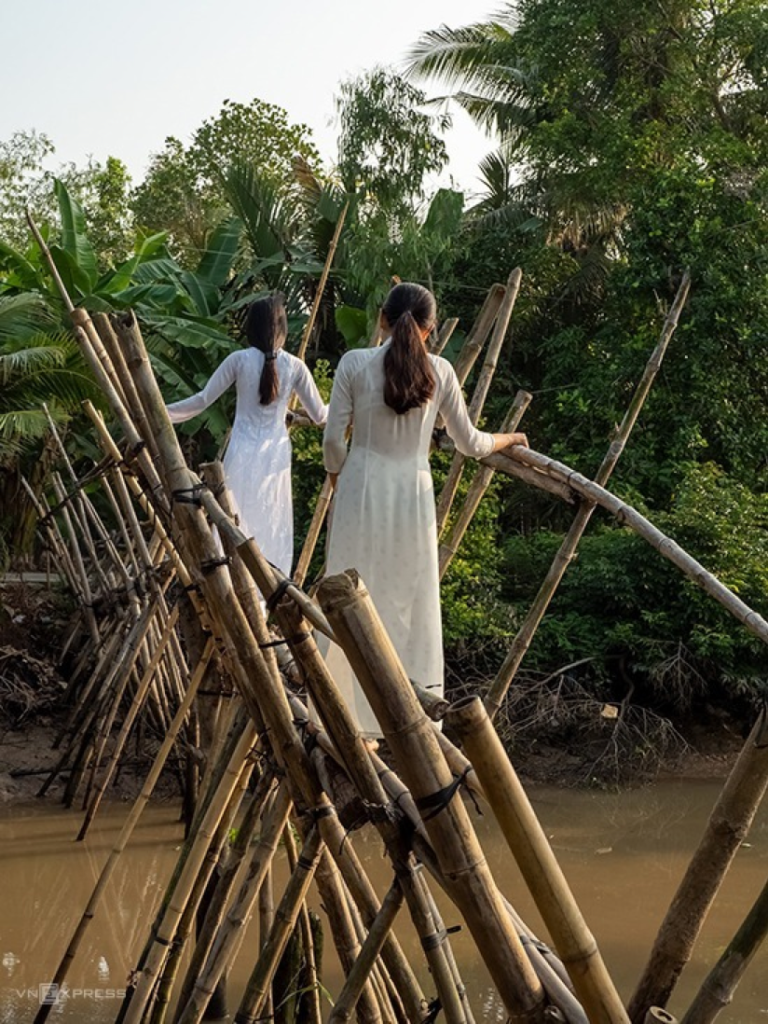 monkey bridge in Vietnam