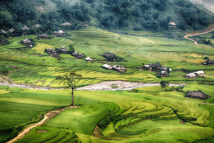 authentic taste of local life Vietnam