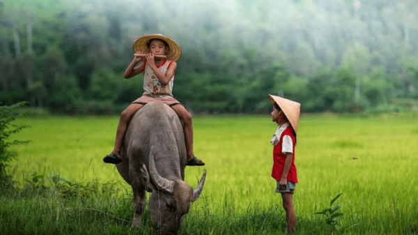 15 things about Vietnam you must know