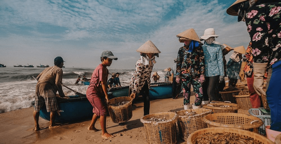 Lang Co fishing village