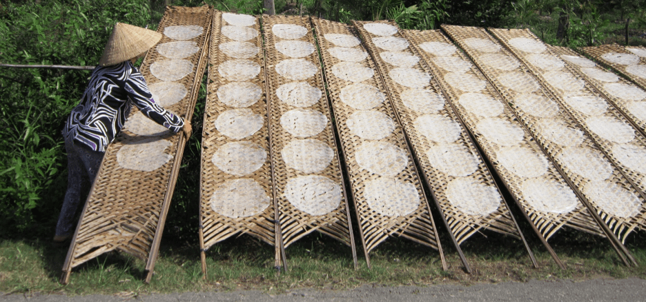 traditional villages in Vietnam