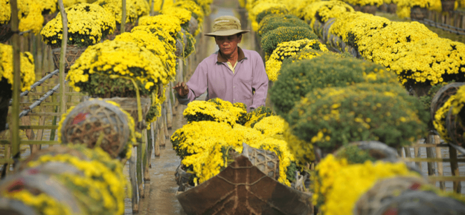 traditional villages in Vietnam