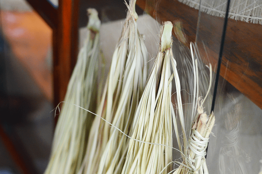 Horse conical hats