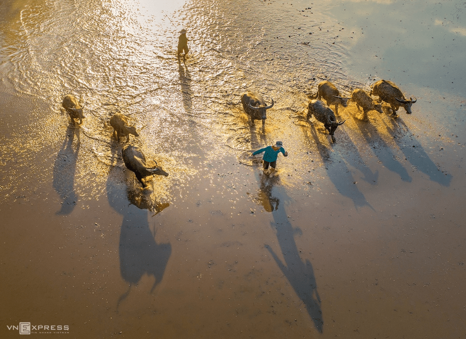 flooding season in Mekong Delta