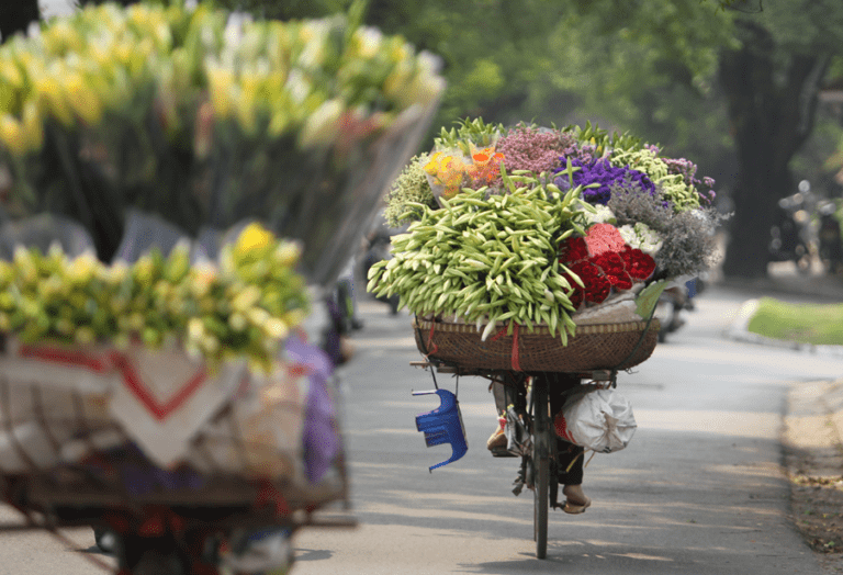 Read more about the article 8 interesting facts about Hanoi