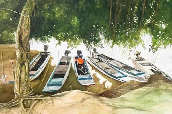 Mekong Delta Vietnam