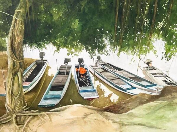 Mekong Delta Vietnam