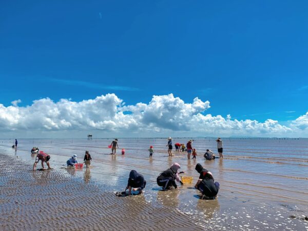 Can Gio's black sand beach