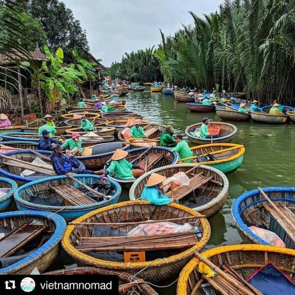 Coconut Forest in Cam Thanh village