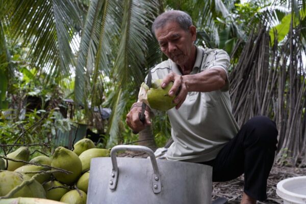 Fresh-coconut-water