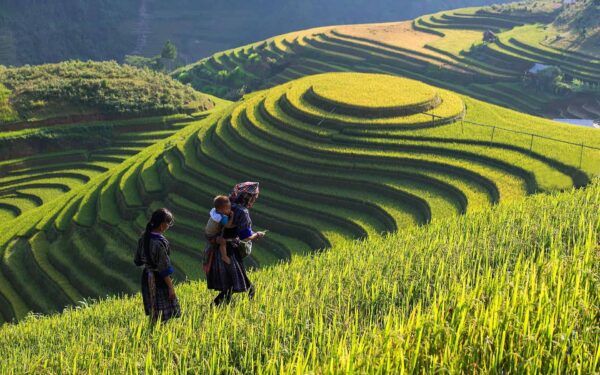 Lao Chai