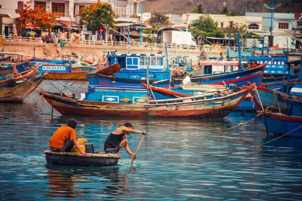 Luong Son fish habour