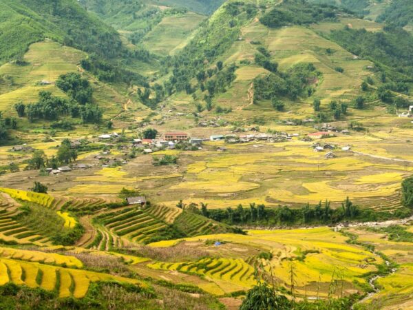 Muong Hoa Valley