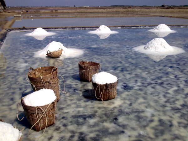 Salt baskets in Can Gio