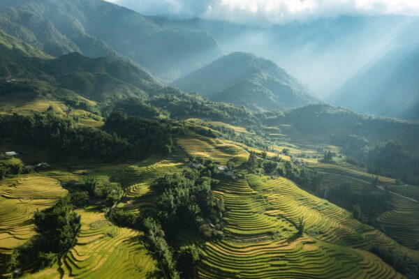 Sapa View