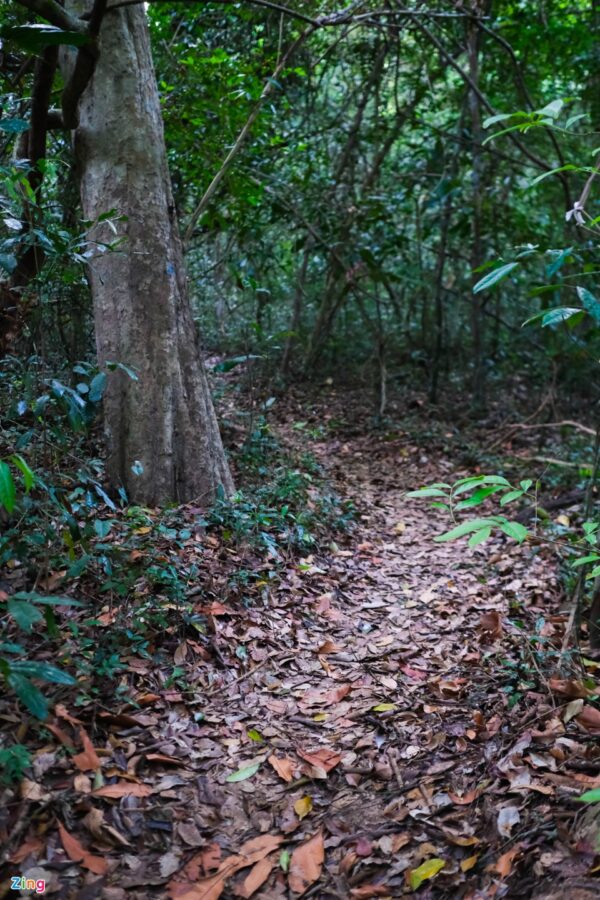 Trekking trail at Binh Chau