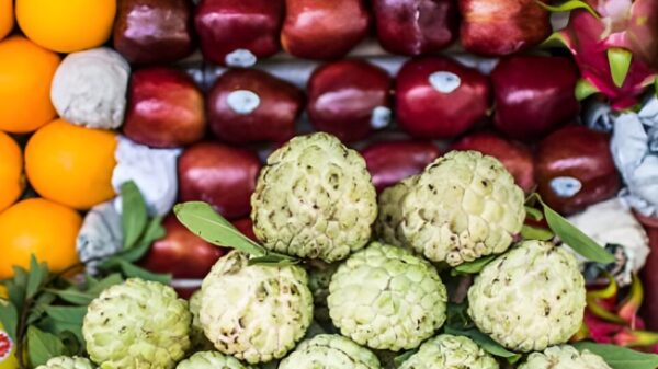 10 Fruits You Should Try While In Vietnam