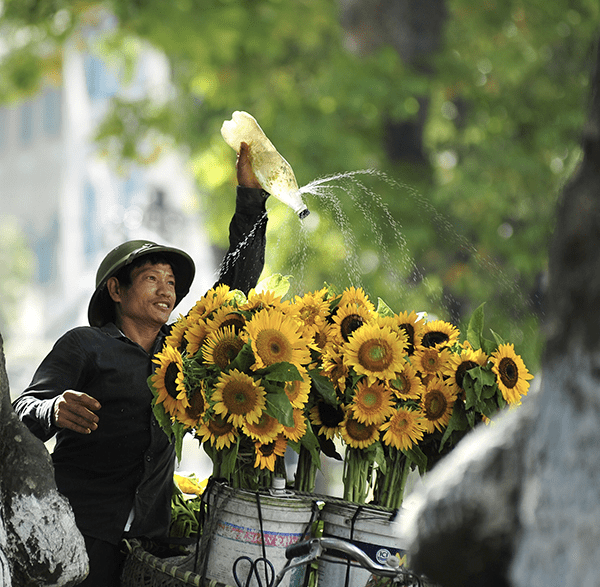 12 seasons of flowers