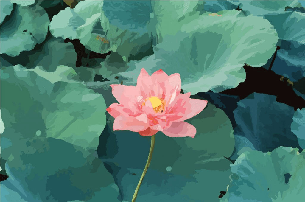 Lotus – The Vietnamese national flower
