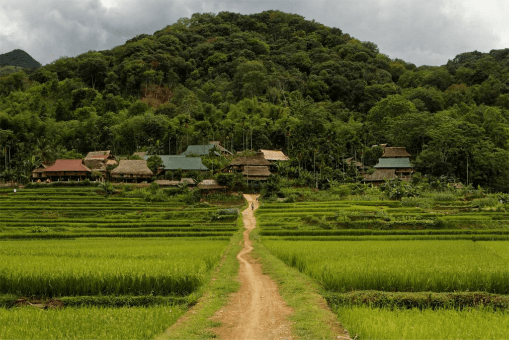 Mai Chau (Hoa Binh)