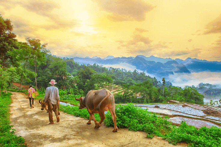 Pu Luong Nature Reserve (Thanh Hoa)