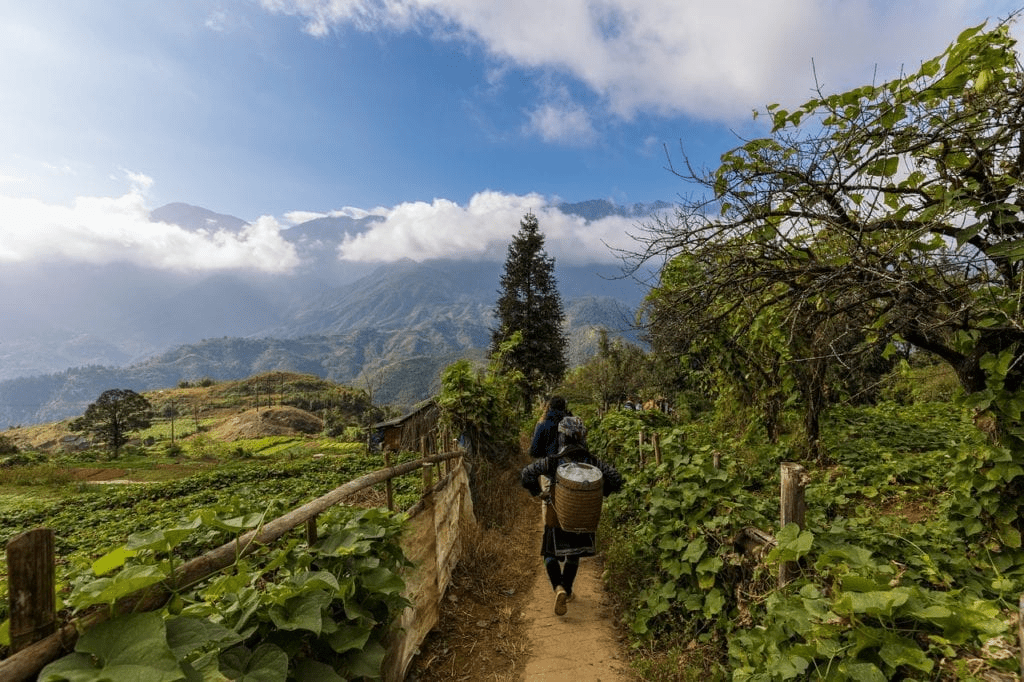 Sapa Valley Trail