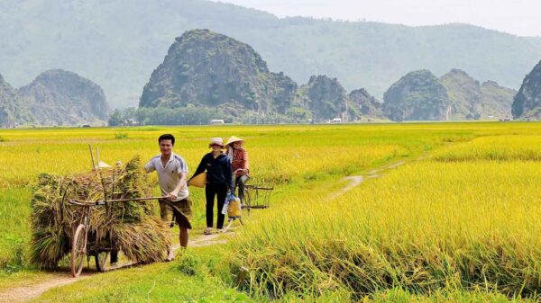 Vietnamese Countryside: A Picturesque Mosaic