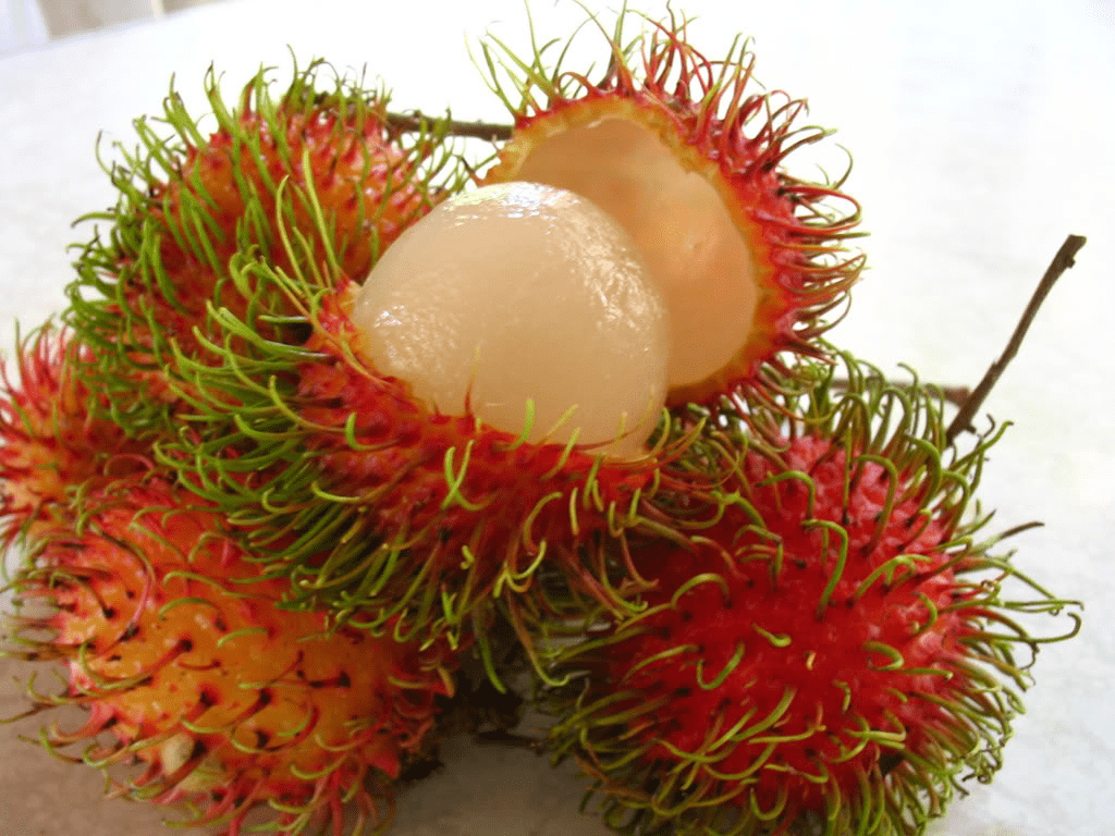 10 Fruits You Should Try While In Vietnam