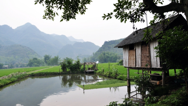 Top 15 Activities In Vietnam Rural Villages To Embrace The Traditional Works Of Locals