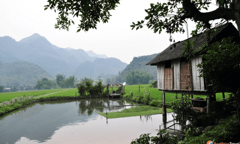 Read more about the article Top 15 Activities In Vietnam Rural Villages To Embrace The Traditional Works Of Locals